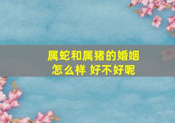 属蛇和属猪的婚姻怎么样 好不好呢